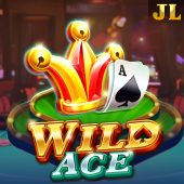 Wild Ace - Premium Slot Game